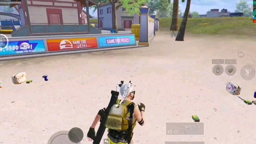 和平精英「路易威登」外挂